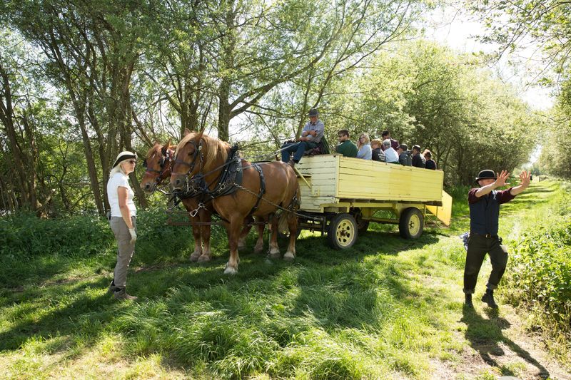 Charabanc - photo 7